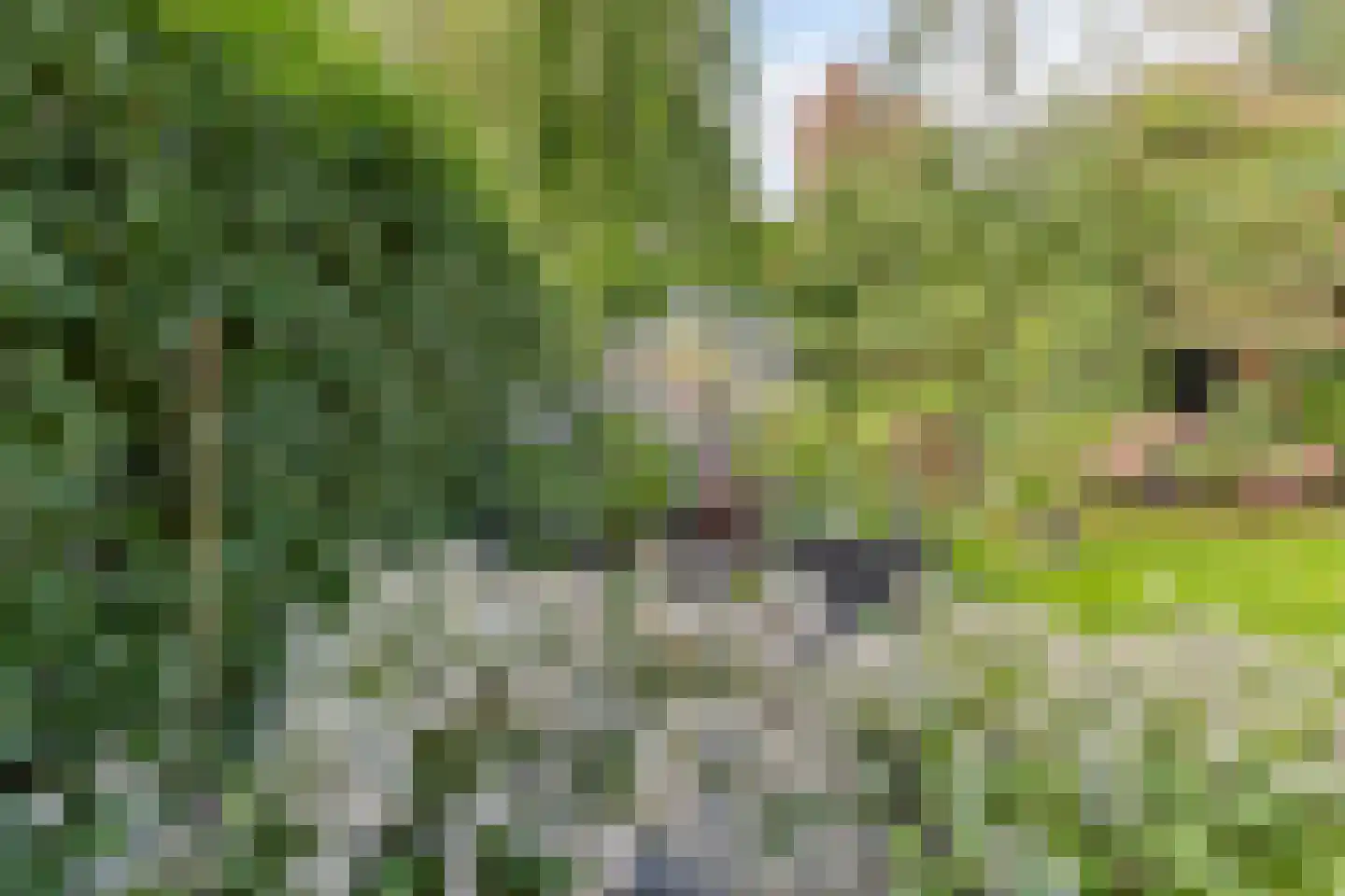 Braambesweg 34 Eindhoven thumbnail 38