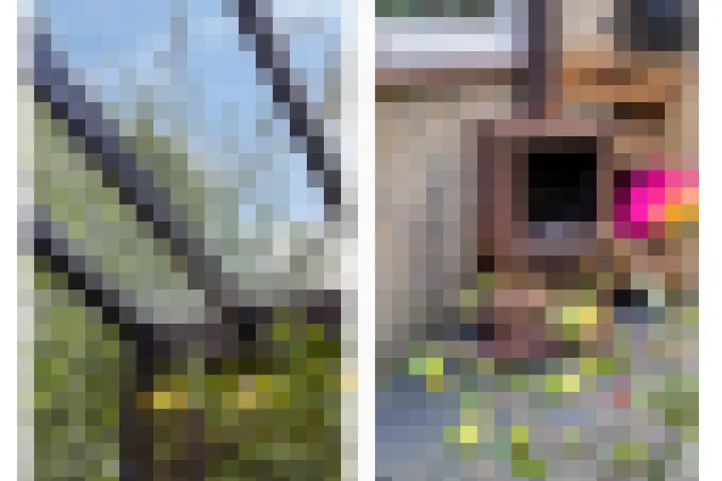 Braambesweg 34 Eindhoven thumbnail 40