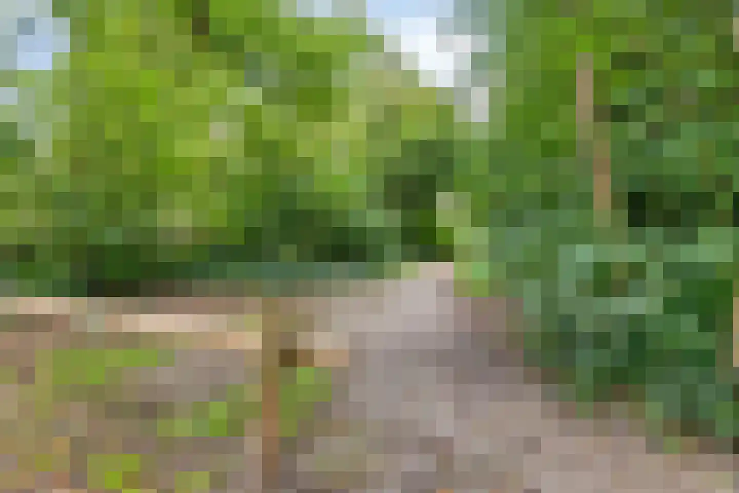 Braambesweg 34 Eindhoven thumbnail 42