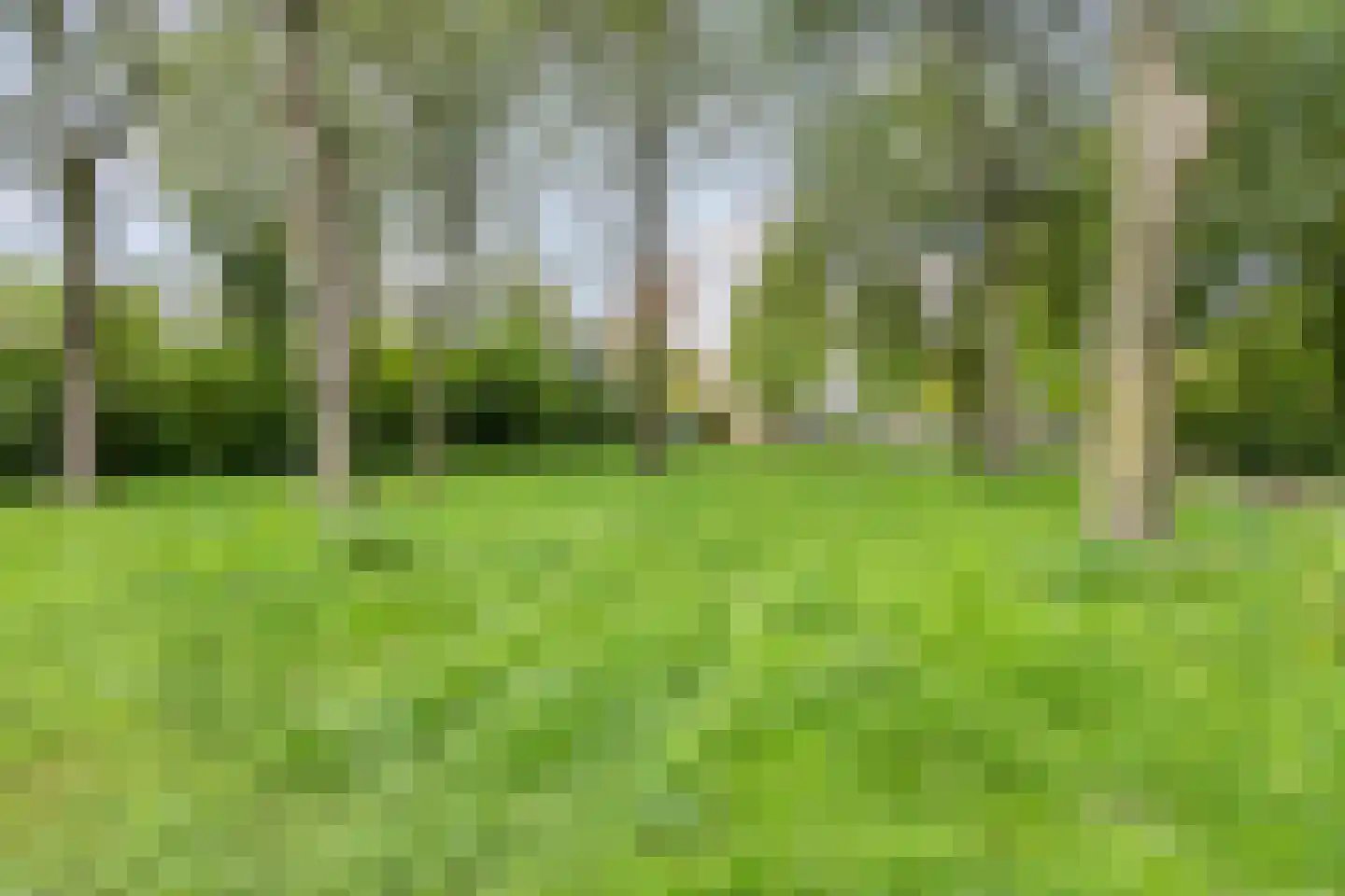 Braambesweg 34 Eindhoven thumbnail 43