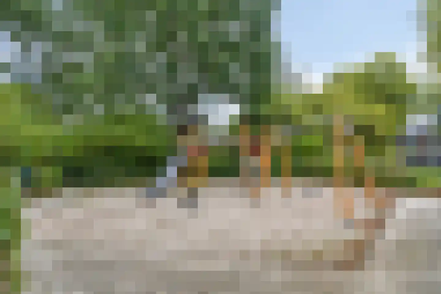 Braambesweg 34 Eindhoven thumbnail 44