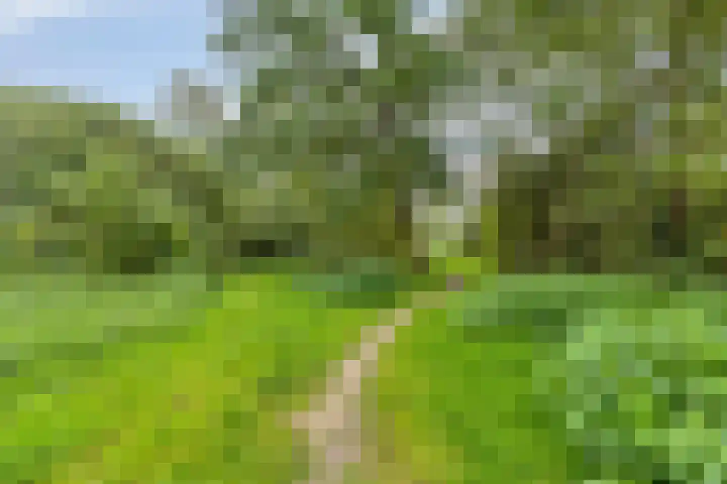 Braambesweg 34 Eindhoven thumbnail 45