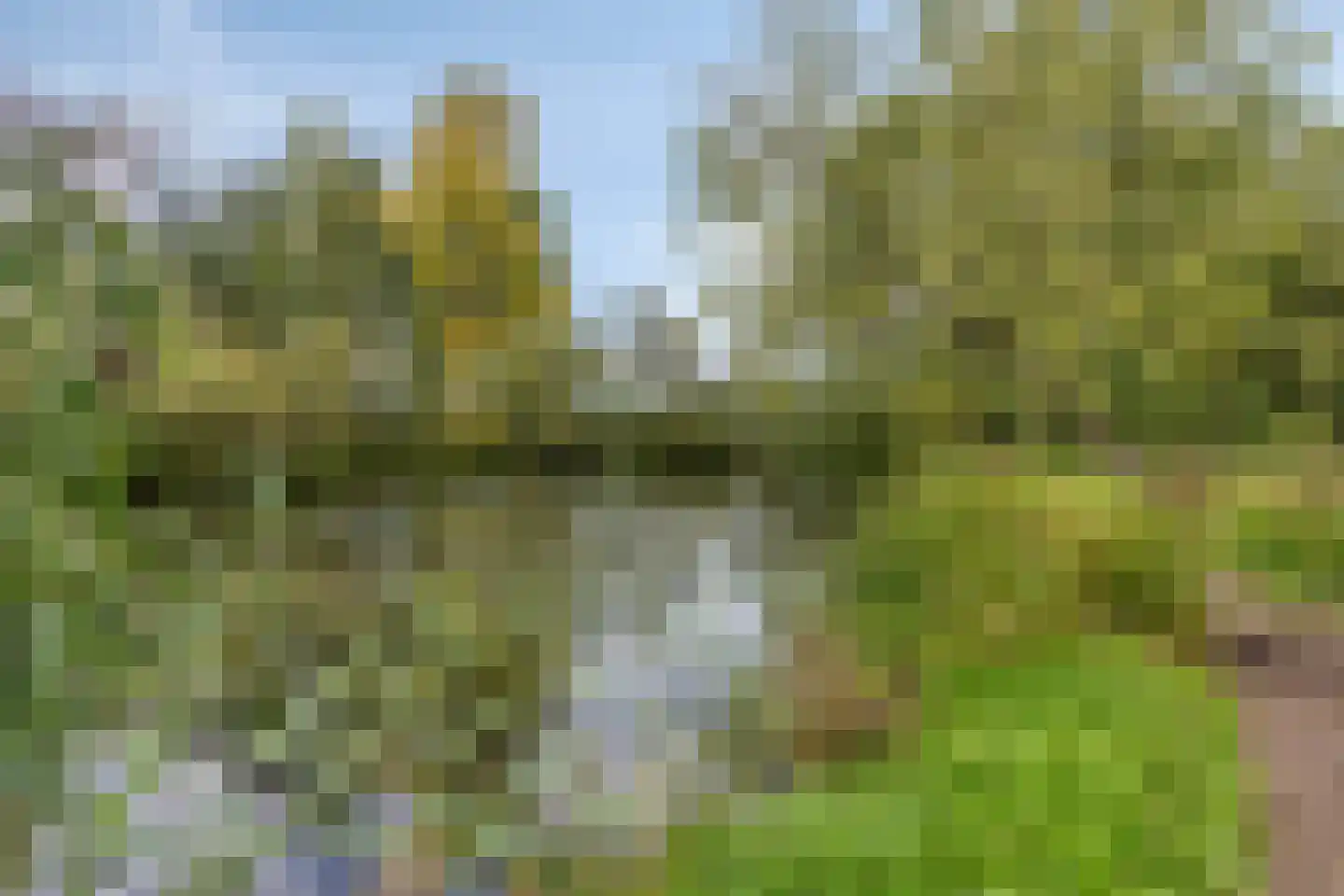Braambesweg 34 Eindhoven thumbnail 46