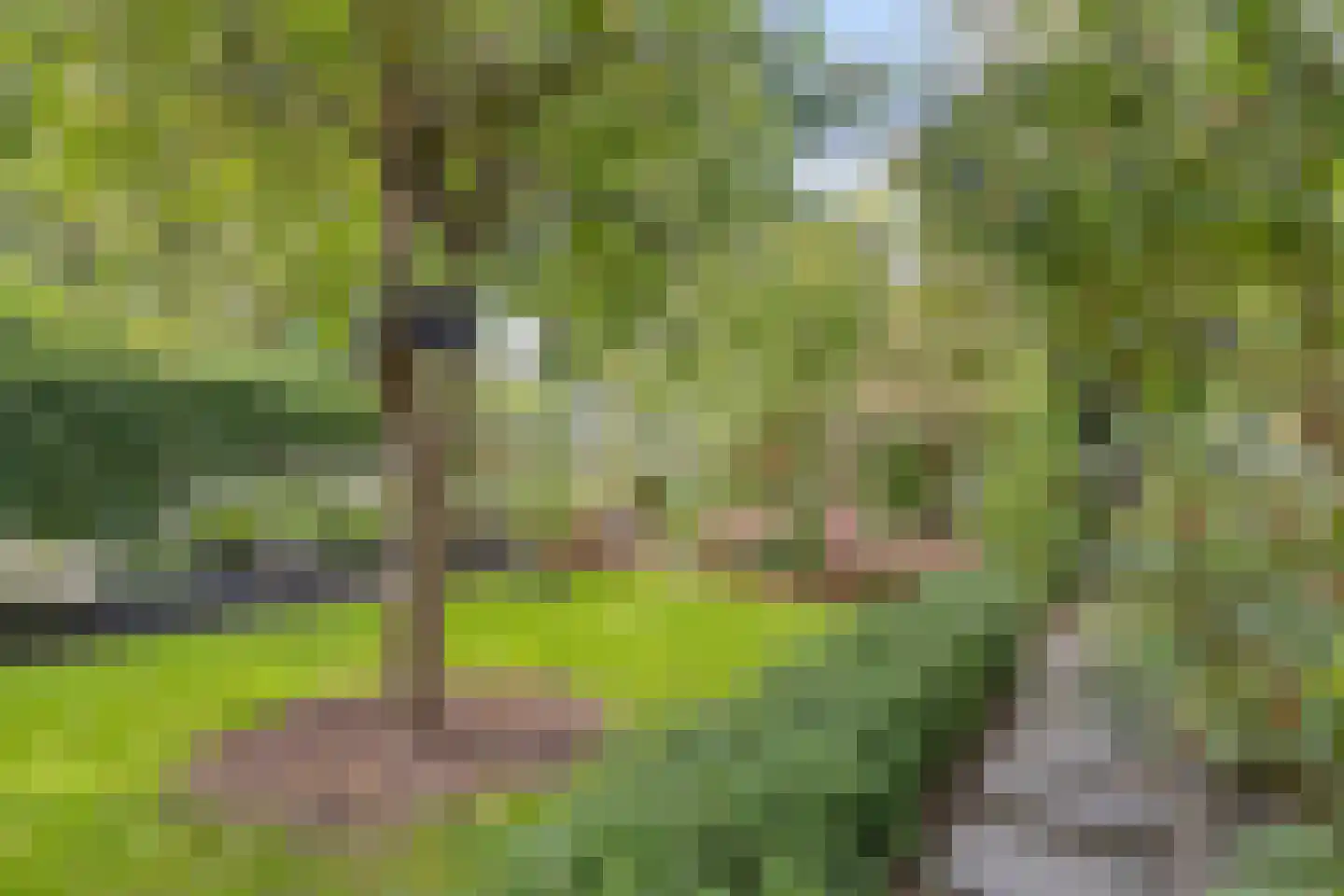 Braambesweg 34 Eindhoven thumbnail 8