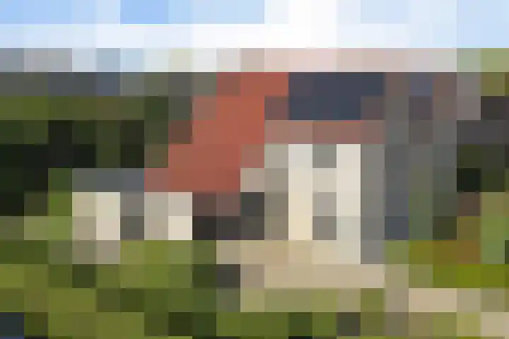 Braambos 10 Sleen thumbnail 11