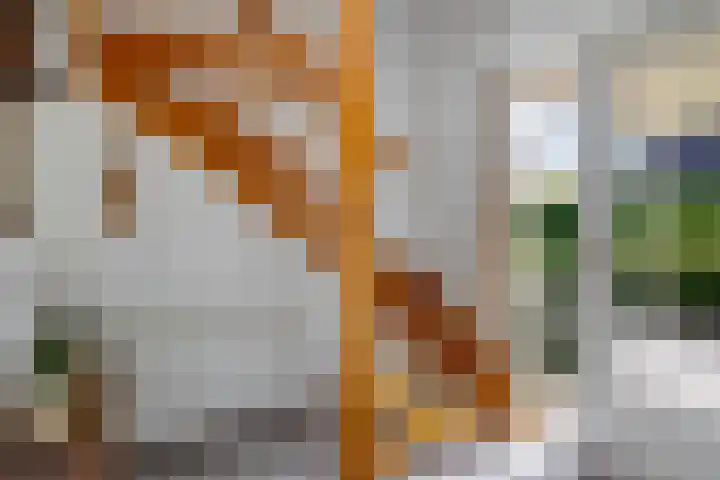 Braambos 10 Sleen thumbnail 12