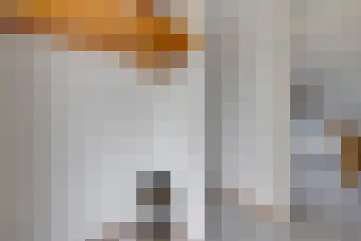 Braambos 10 Sleen thumbnail 14