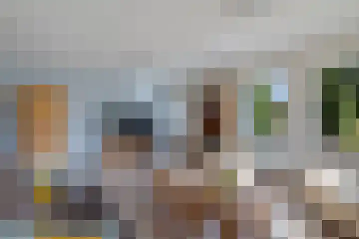 Braambos 10 Sleen thumbnail 17