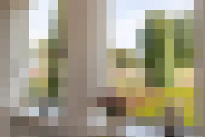 Braambos 10 Sleen thumbnail 18