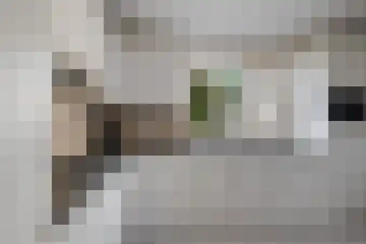 Braambos 10 Sleen thumbnail 22