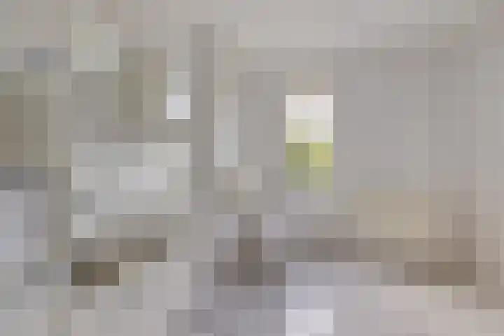 Braambos 10 Sleen thumbnail 33