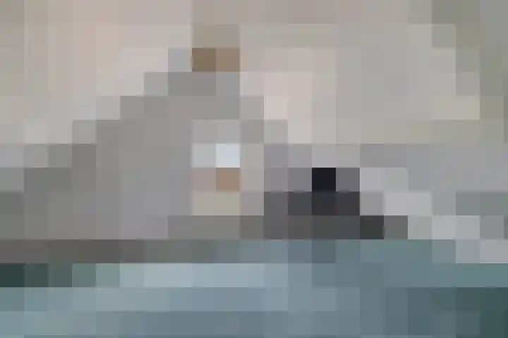 Braambos 10 Sleen thumbnail 36