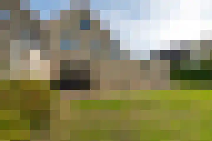Braambos 10 Sleen thumbnail 47