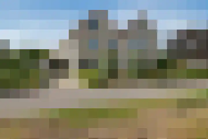 Braambos 10 Sleen thumbnail 8
