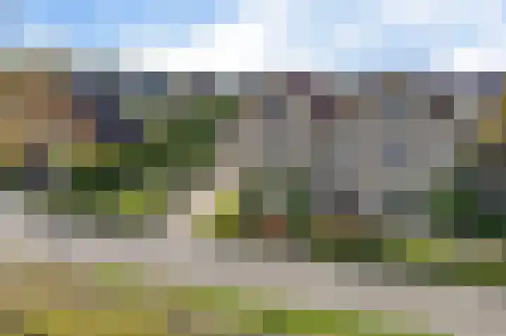 Braambos 10 Sleen thumbnail 9