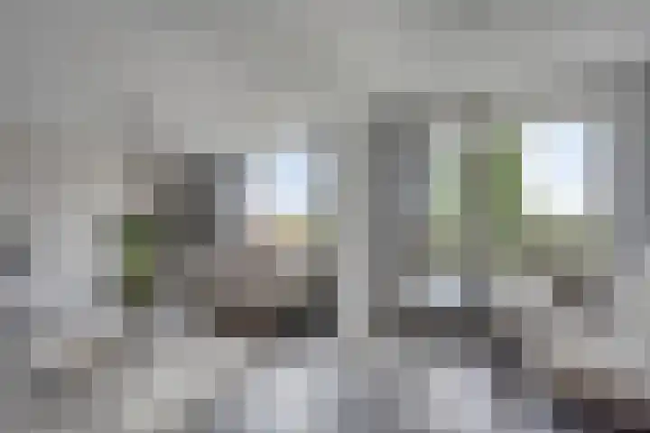 Braambos 13 Noordwijkerhout thumbnail 10