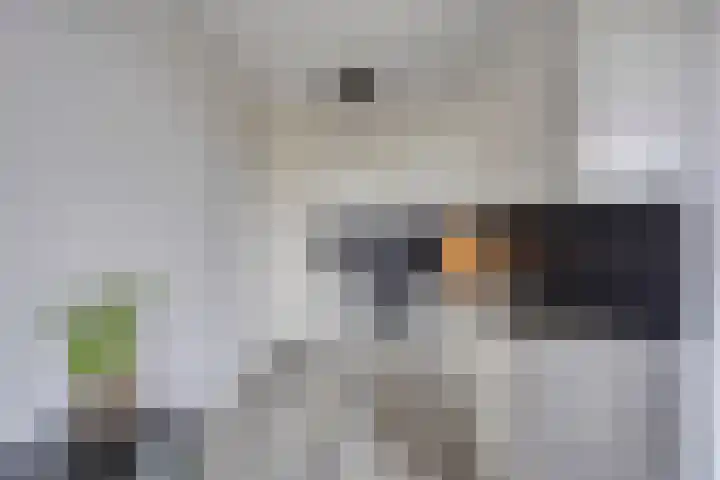Braambos 13 Noordwijkerhout thumbnail 11