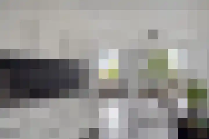 Braambos 13 Noordwijkerhout thumbnail 12
