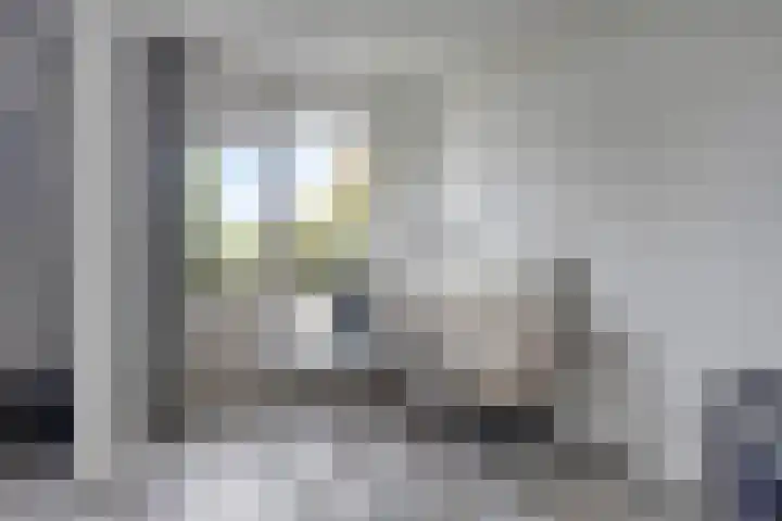 Braambos 13 Noordwijkerhout thumbnail 13