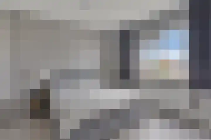 Braambos 13 Noordwijkerhout thumbnail 15