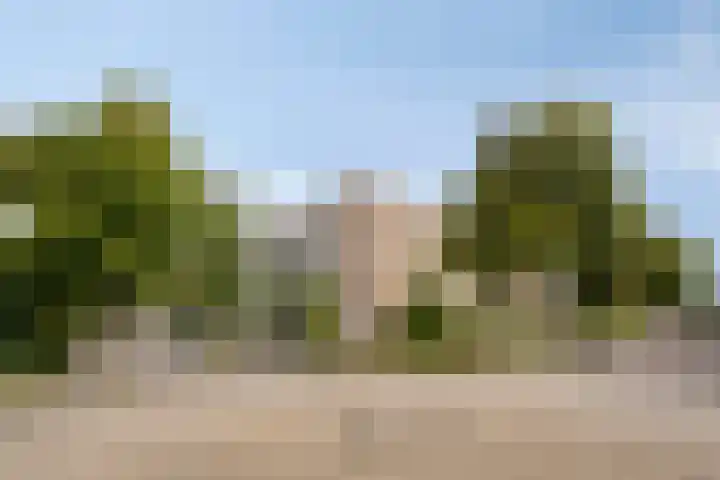 Braambos 13 Noordwijkerhout thumbnail 19