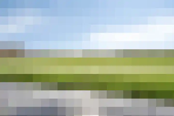 Braambos 13 Noordwijkerhout thumbnail 20