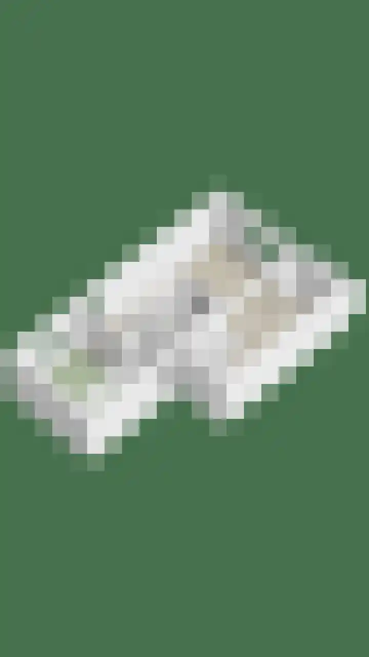 Braambos 13 Noordwijkerhout thumbnail 22
