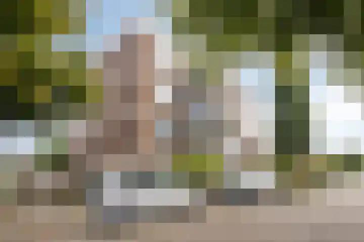 Braambos 13 Noordwijkerhout thumbnail 23