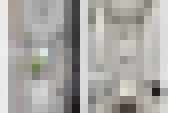 Braambos 13 Noordwijkerhout thumbnail 5