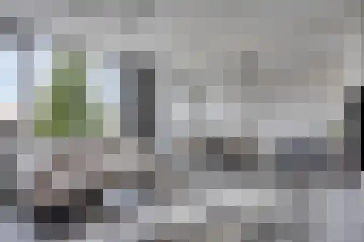 Braambos 13 Noordwijkerhout thumbnail 8