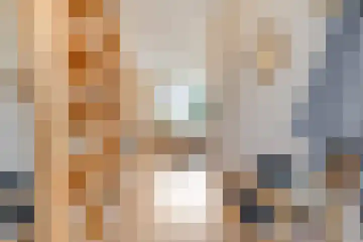 Braambos 15 Noordwijkerhout thumbnail 11