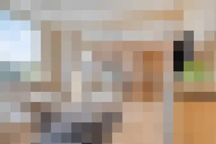 Braambos 15 Noordwijkerhout thumbnail 13