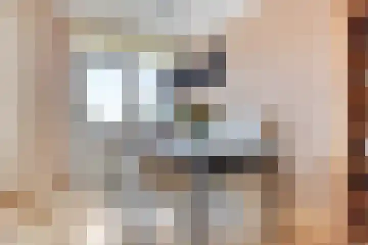 Braambos 15 Noordwijkerhout thumbnail 15