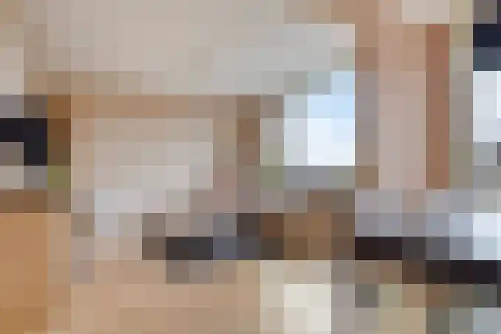 Braambos 15 Noordwijkerhout thumbnail 16