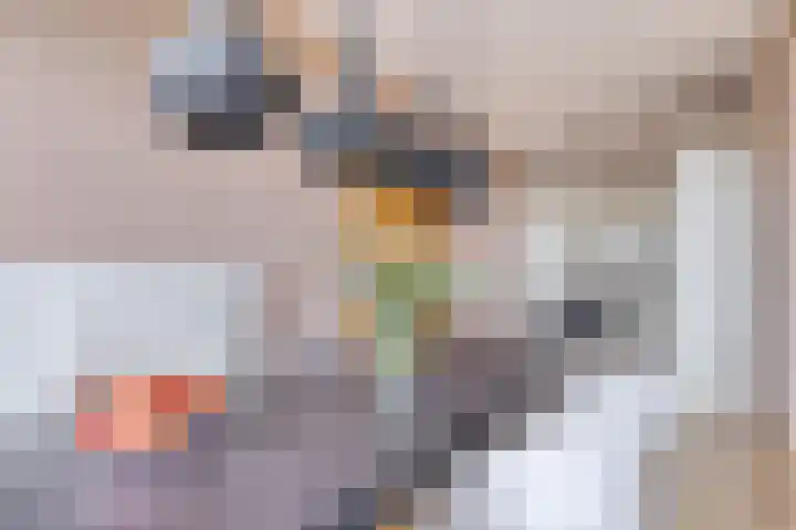 Braambos 15 Noordwijkerhout thumbnail 17