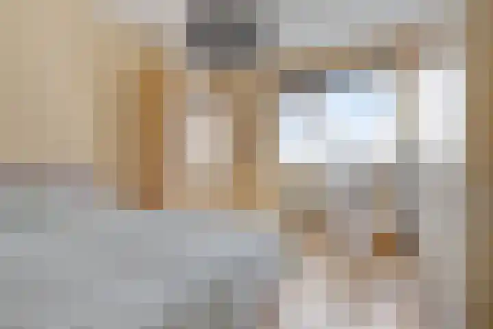 Braambos 15 Noordwijkerhout thumbnail 18