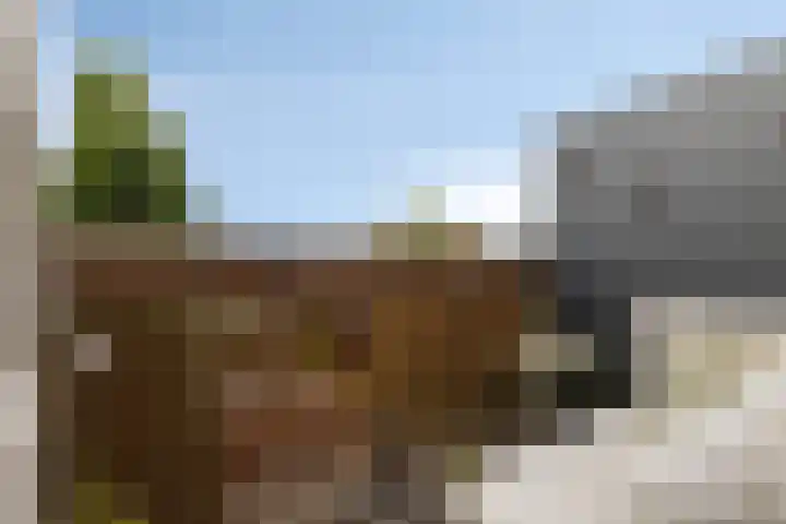 Braambos 15 Noordwijkerhout thumbnail 23