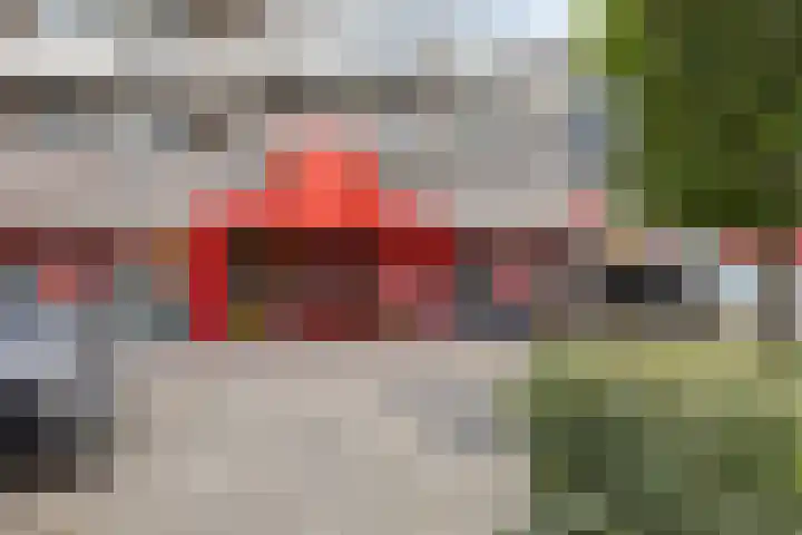 Braambos 15 Noordwijkerhout thumbnail 25