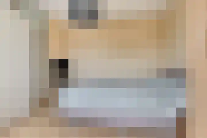 Braambos 15 Noordwijkerhout thumbnail 4