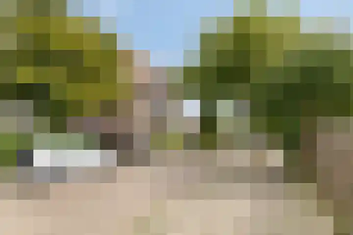 Braambos 15 Noordwijkerhout thumbnail 5