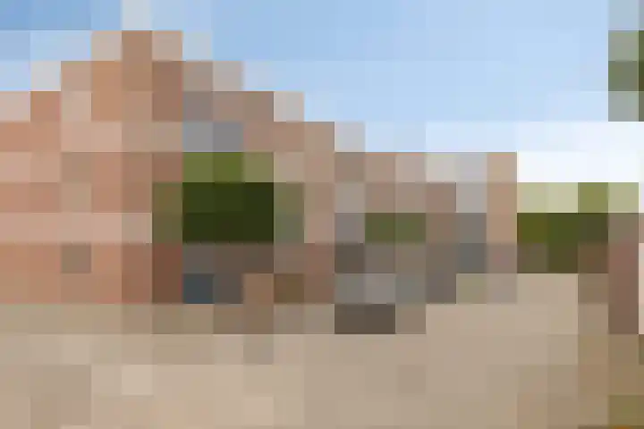 Braambos 15 Noordwijkerhout thumbnail 6