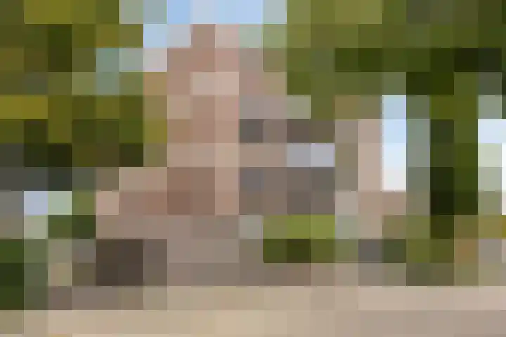 Braambos 15 Noordwijkerhout thumbnail 7