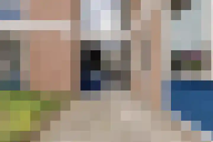 Braambos 15 Noordwijkerhout thumbnail 8
