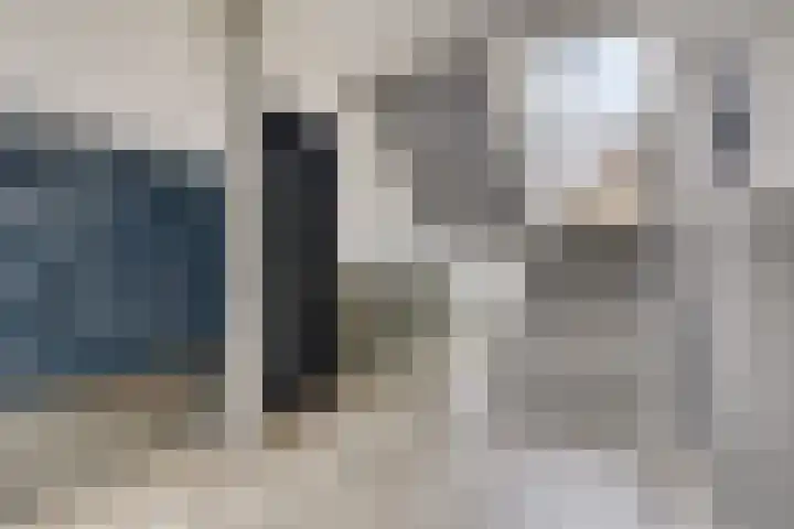 Braambos 15 Noordwijkerhout thumbnail 9