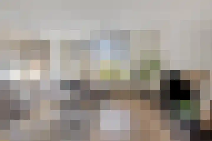 Braambos 17 Noordwijkerhout thumbnail 10