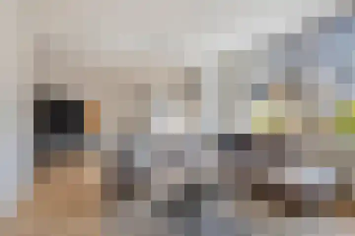 Braambos 17 Noordwijkerhout thumbnail 11
