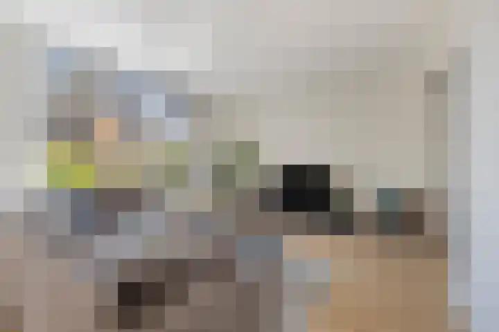Braambos 17 Noordwijkerhout thumbnail 12