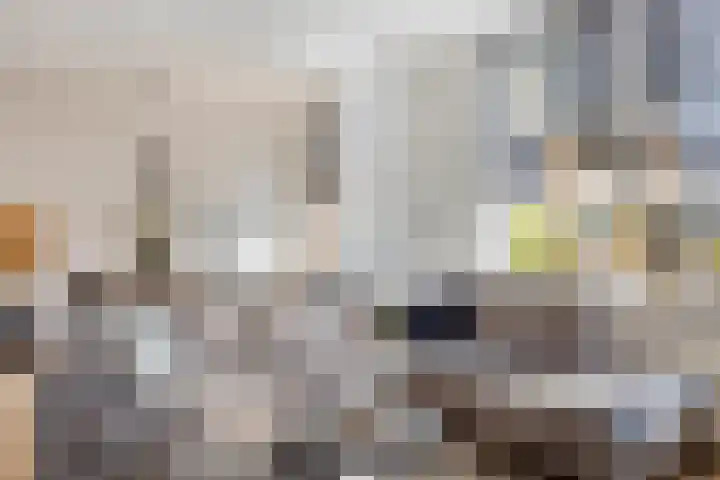 Braambos 17 Noordwijkerhout thumbnail 13