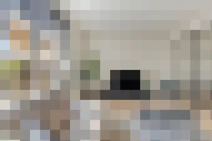 Braambos 17 Noordwijkerhout thumbnail 16