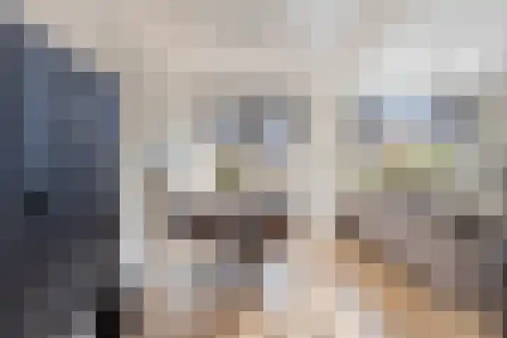 Braambos 17 Noordwijkerhout thumbnail 18